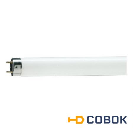 Фото ЛБ-36 L 36W/640 G13 OSRAM уп25