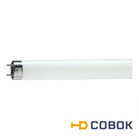 Фото ЛД-30 Т8 L 30W/765 30Вт T8 6500К G13 OSRAM уп25