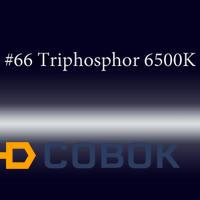 Фото Трубка неоновая с люминофором #66 Triphosphor 6500K 12 мм