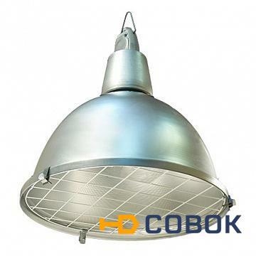 Фото Светильник ЖСП01-250-022 б/а IP53