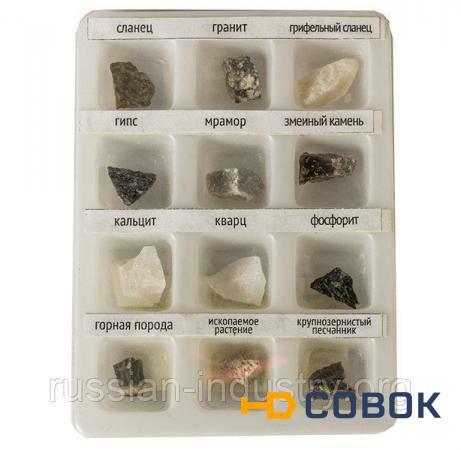 Фото Набор образцов минеральных камней (12 шт.)