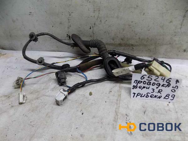 Фото Проводка двери задней правой Subaru Tribeca B9 (065246СВ)