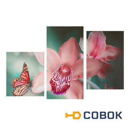 Фото Картины PRORAB Мини Модуль на холсте 55х94см "Бабочка с орхидеями" 886648