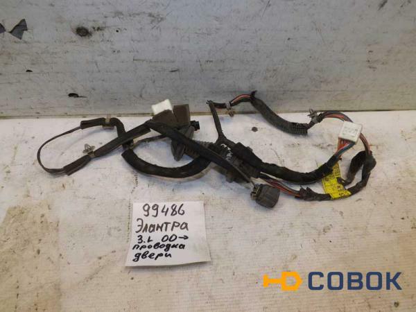 Фото Проводка двери задней левой Hyundai Elantra (099486СВ)