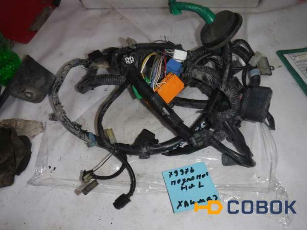 Фото Проводка подкапотная Haima 3 (079976СВ2)