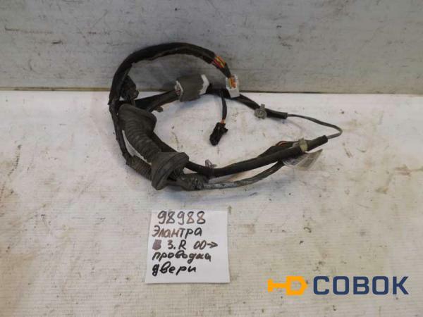 Фото Проводка двери задней правой Hyundai Elantra (098988СВ)