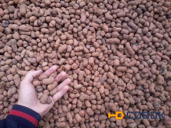 Фото Керамзит фракции: 5-10