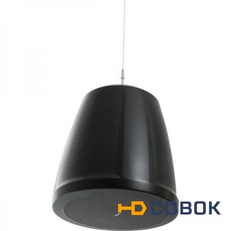 Фото Подвесной громкоговоритель QSC AD-P6T Black