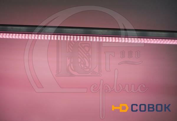 Фото Фито-лампа светодиодная с расширенным спектром LN-600 "Фито-C"