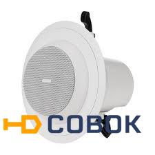 Фото Потолочный громкоговоритель Tannoy CMS401DCe