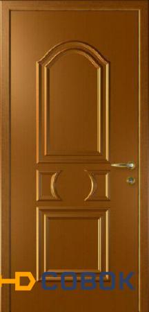 Фото Дверь влагостойкая композитная &quot;Капель (Kapelli)&quot; &quot;Нарцисс&quot; (дуб золотой)