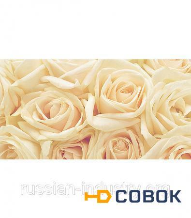 Фото Фотообои OVK Design Розы 230008 1 лист 2.5х1.3 м
