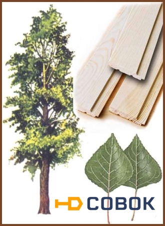 Фото Вагонка деревянная из осины,сорт А ,толщ16-18мм*ш.85мм*дл.1,5-2,5м.