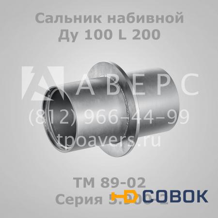 Фото Сальник набивной Ду 100 L 300 ТМ 90-02 Серия 5.900-2