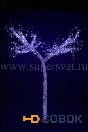 Фото Светодиодное дерево из акрила PHS-014 с подсветкой белого цвета