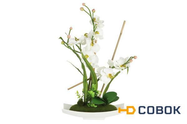 Фото Декоративные цветы Орхидея белая на керамической подставке Dream Garden ( DG-15025-AL )