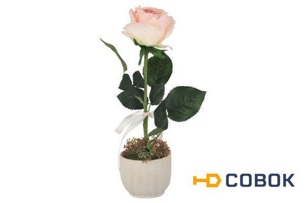 Фото Декоративные цветы Роза св.розовая в керам.вазе - DG-PF7108-LP Dream Garden