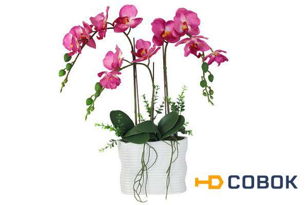 Фото Декоративные цветы Орхидея тем розовая в керамической вазе Dream Garden ( DG-15018-N-AL )