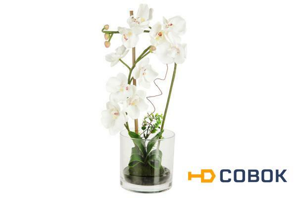 Фото Декоративные цветы Орхидея белая в стеклянной вазе Dream Garden ( DG-15015-AL )
