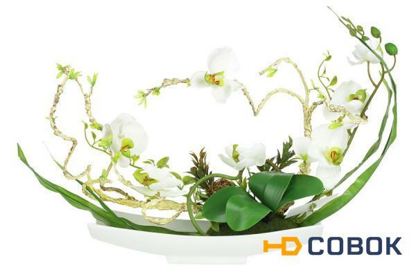 Фото Декоративные цветы Орхидея белая на керамической подставке Dream Garden ( DG-15006-AL )