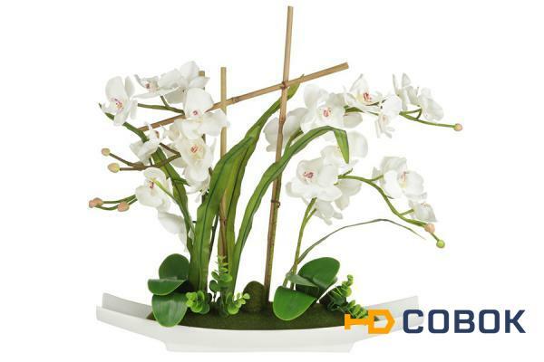 Фото Декоративные цветы Орхидея белая на керамической подставке Dream Garden ( DG-15005-AL )
