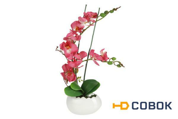 Фото Декоративные цветы Орхидея бордо в керамической вазе Dream Garden ( DG-13066-FU-AL )