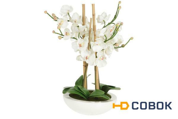 Фото Декоративные цветы Орхидея белая на керамической подставке Dream Garden ( DG-13062-AL )