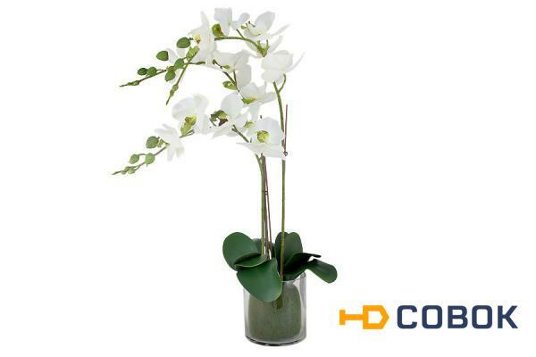 Фото Декоративные цветы Орхидея белая в стеклянной вазе Dream Garden ( DG-16023N-AL )