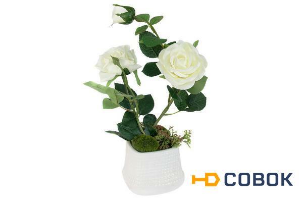Фото Декоративные цветы Розы белые в керамической вазе Dream Garden ( DG-R16028N-W-AL )