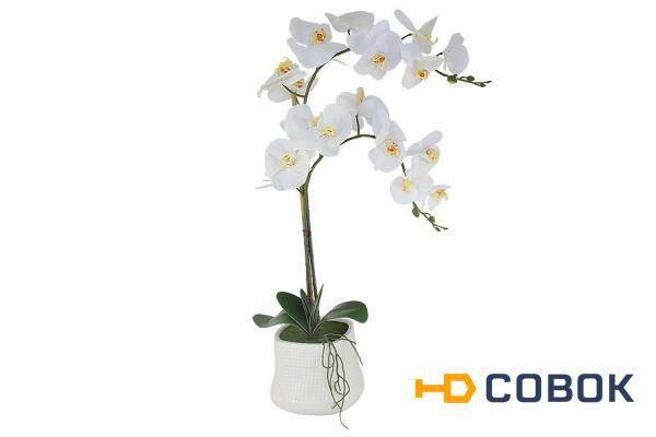 Фото Декоративные цветы Орхидея белая в керамической вазе Dream Garden ( DG-15044N-AL )