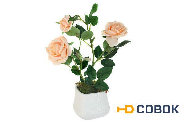 Фото Декоративные цветы Розы кремовые в керамической вазе Dream Garden ( DG-R16028N-O-AL )