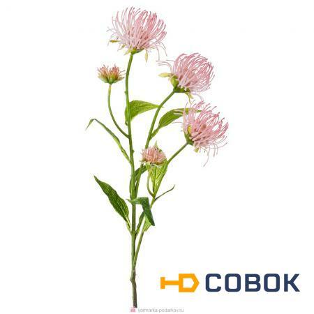 Фото Цветок искусственный леукоспермум сердцелистный розовый высота 74 см