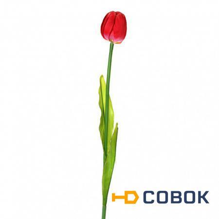 Фото Цветок искусственный длина=60 см "тюльпан" Huajing Plastic (23-272)