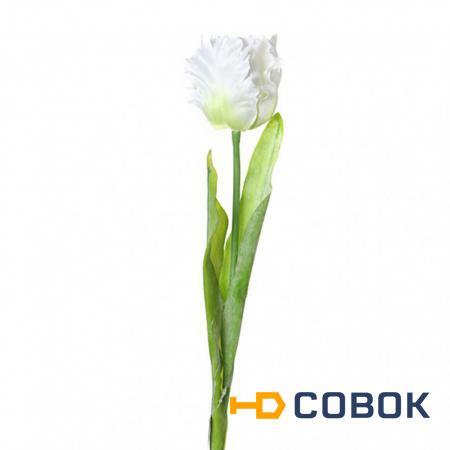 Фото Цветок искусственный "тюльпан" длина=73 см Huajing Plastic (23-274)