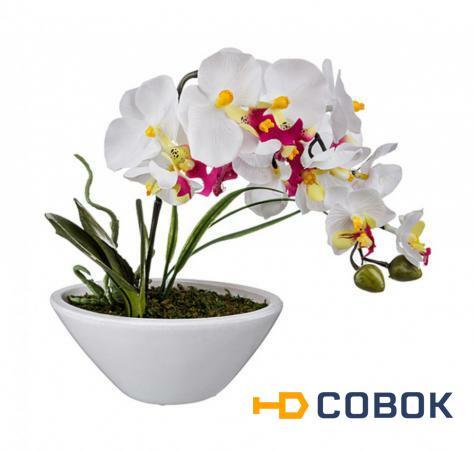 Фото Изделие декоративное "цветы" 14*8 см. высота=40 см. без упаковки Huajing Plastic (70-518)