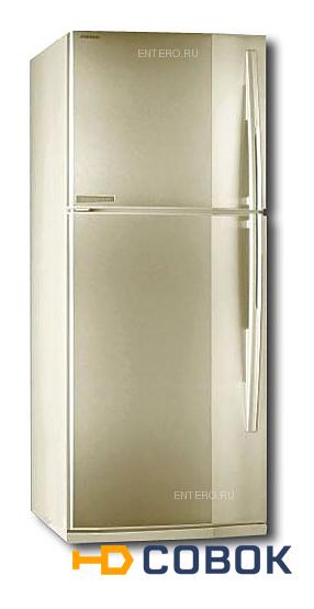 Фото Холодильник Toshiba GR-M47TR SC
