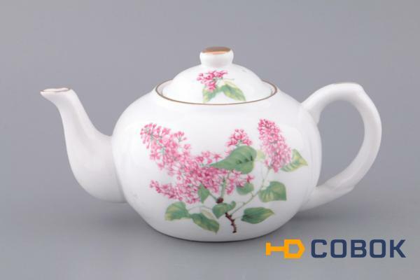 Фото Заварочный чайник 400 мл. Hangzhou Jinding (82-895)