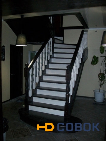 Фото Лестницы из бука