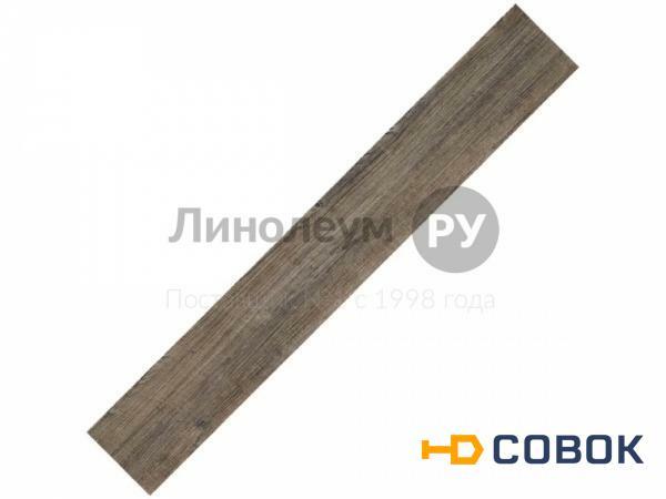 Фото Плинтус для винилового ламината MODULEO TRANSFORM Дизайн - LP 24868 (6 шт)