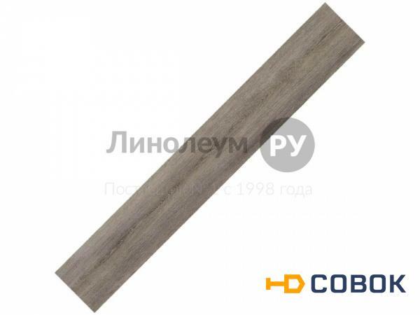 Фото Плинтус для винилового ламината MODULEO TRANSFORM Дизайн - EW 28282 (6 шт)