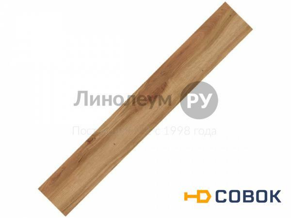 Фото Плинтус для винилового ламината MODULEO TRANSFORM Дизайн - CO 24235 (6 шт)