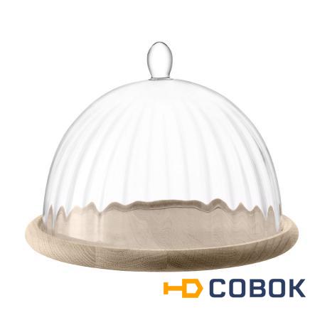 Фото Блюдо со стеклянным куполом aurelia d25 см (59211)