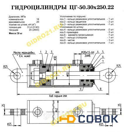 Фото Гидроцилиндр ЦГ-50.30х250.22