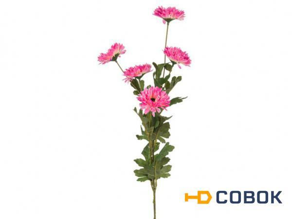Фото Ветка астр розовая 5 цветков высота=70 см. Huajing Plastic (864-001)