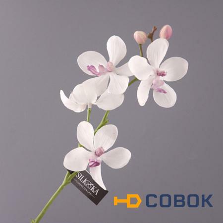 Фото Цветок искусственный "белая орхидея" длина=38 см. Silk-Ka B.v. (654-126)