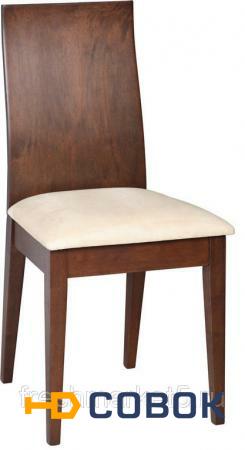 Фото Стул «Eva» с мягким сиденьем (деревянный каркас)