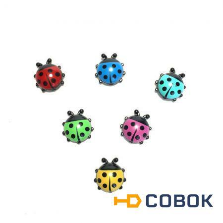 Фото Набор декоративных магнитиков Ladybug