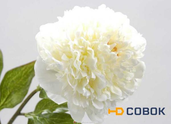 Фото Цветок искусственный белый пион длина 48 см