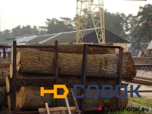 Фото Реализуем круглые лесоматериалы машинными нормами со склада г. Киев