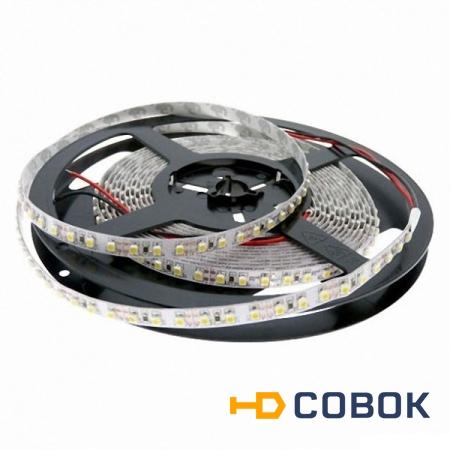 Фото Лента Geniled GL-240SMD3528G (цвет зелёный)